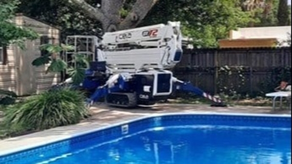 2025 Cela DT80  thumbnail 2