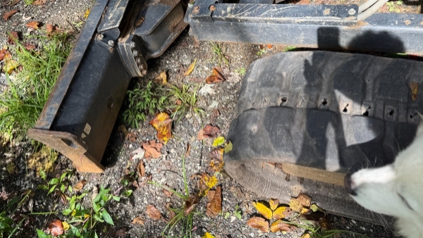 2024 Kubota KX040-4 thumbnail 4