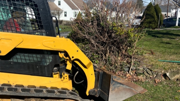 2018 Caterpillar 259D thumbnail 7