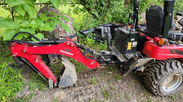 2019 Mahindra EMAX 20S thumbnail 2